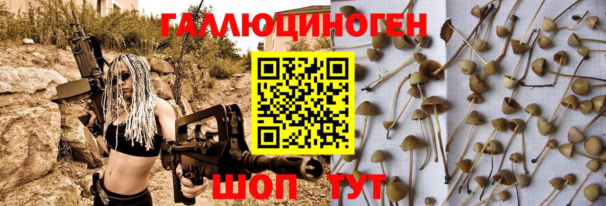 Псилоцибиновые грибы ЛСД Можайск