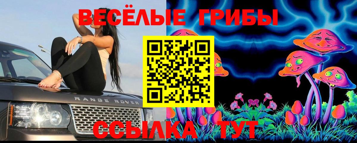 Можайск  Псилоцибиновые грибы Magic Shrooms  Вход с VPN 